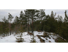 IMG 20200118 134938.jpg