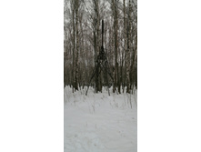 IMG 20200128 091018.jpg