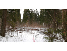 IMG 20200104 125521.jpg