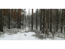 IMG 20200112 100139.jpg