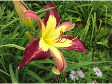 �������� ������