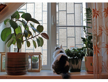 244590443-bus 061.jpg