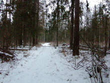 IMG 20200106 152613.jpg