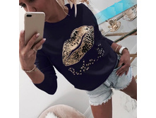 �-081 ����� ���� ������