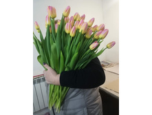 IMG 20190224 140550.jpg