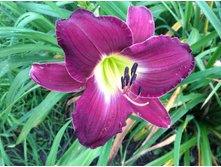 �������� ����� ������ �������