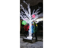 IMG 20200101 004943.jpg