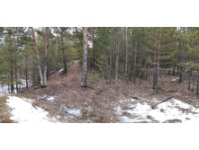 IMG 20200118 135015.jpg