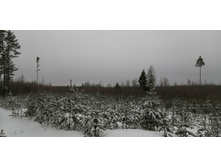 IMG 20200112 103553.jpg