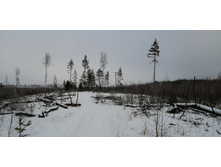 IMG 20200111 112544.jpg