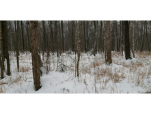 IMG 20200112 114825.jpg