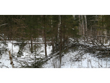 IMG 20200108 115659.jpg