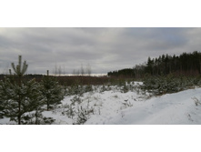 IMG 20200126 110734.jpg