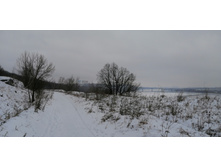 IMG 20200105 112902.jpg