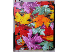 �������� ������.jpg