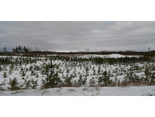 IMG 20200126 123957.jpg