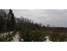 IMG 20200118 121307.jpg