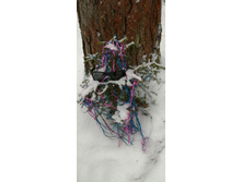 IMG 20200112 132013.jpg