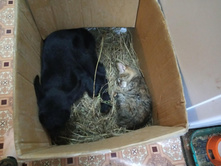 IMG 20191214 110627.jpg