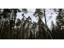 IMG 20200108 120349.jpg