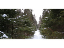 IMG 20200108 123133.jpg