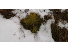 IMG 20200118 122115.jpg