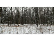 IMG 20200112 114445.jpg