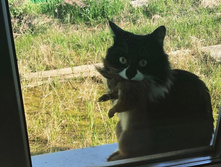 � ���ۣ� � ���� � �������� ...