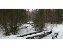 IMG 20200108 124049.jpg