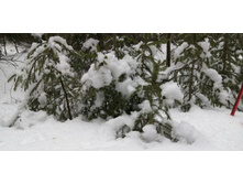 IMG 20200104 124458.jpg