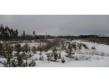 IMG 20200111 123109.jpg