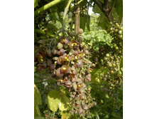 ������,��� �������� ������� ���������.