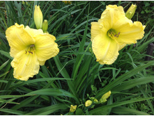 �������� ��� �����