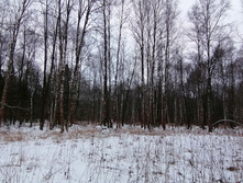 IMG 20200106 145740.jpg