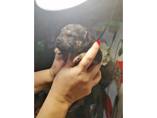 10 ���� ���))