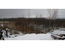 IMG 20200103 110438.jpg