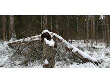 IMG 20200108 115455.jpg