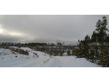 IMG 20200111 123521.jpg