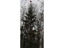 IMG 20200106 130803.jpg