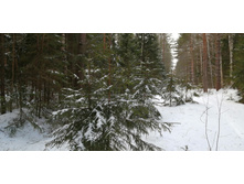 IMG 20200108 122000.jpg