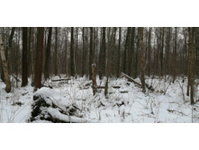 IMG 20200106 125516.jpg