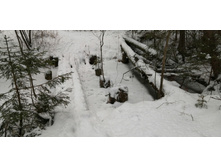 IMG 20200108 123904.jpg