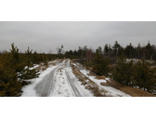 IMG 20200119 122540.jpg