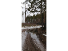 IMG 20200118 131112.jpg