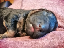 �������))2