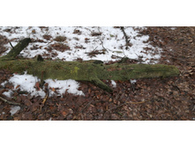 IMG 20200118 114053.jpg