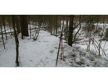 IMG 20200108 112535.jpg