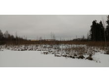 IMG 20200103 124458.jpg