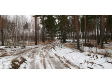 IMG 20200119 120859.jpg