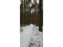 IMG 20200106 122058.jpg